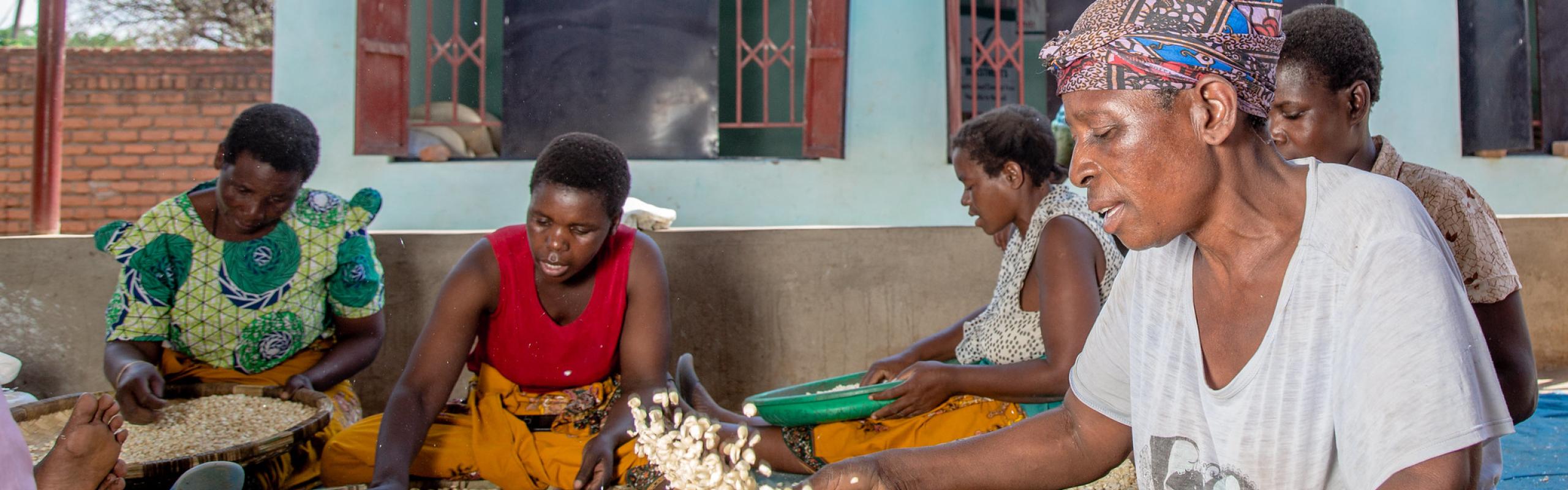 Women sorting out maize seed at the Mgom’mera Seed Company warehouse in Lilongwe, Malawi.