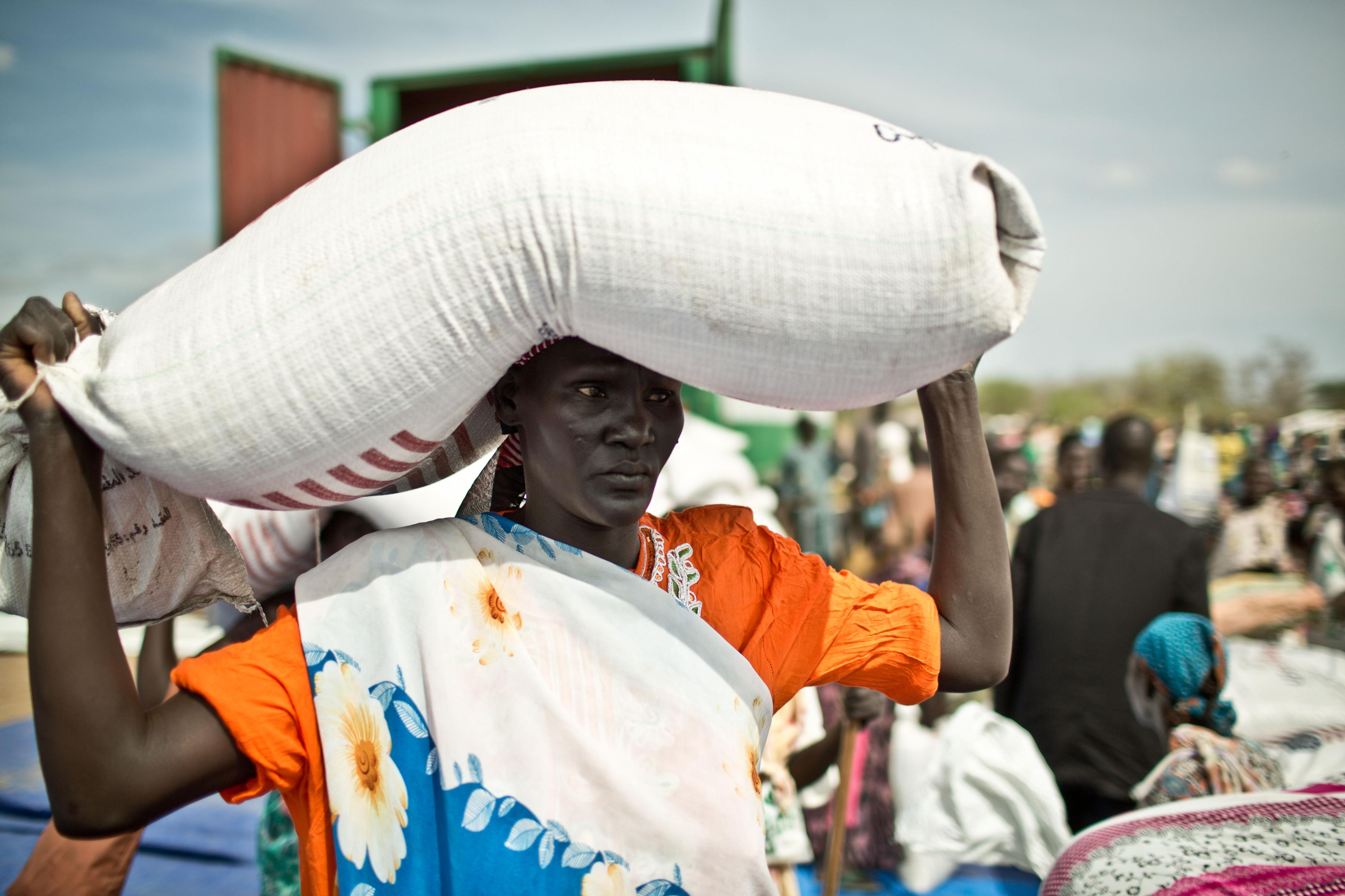 Enhancing Food Security in South Sudan: The Role of Public Food Stocks