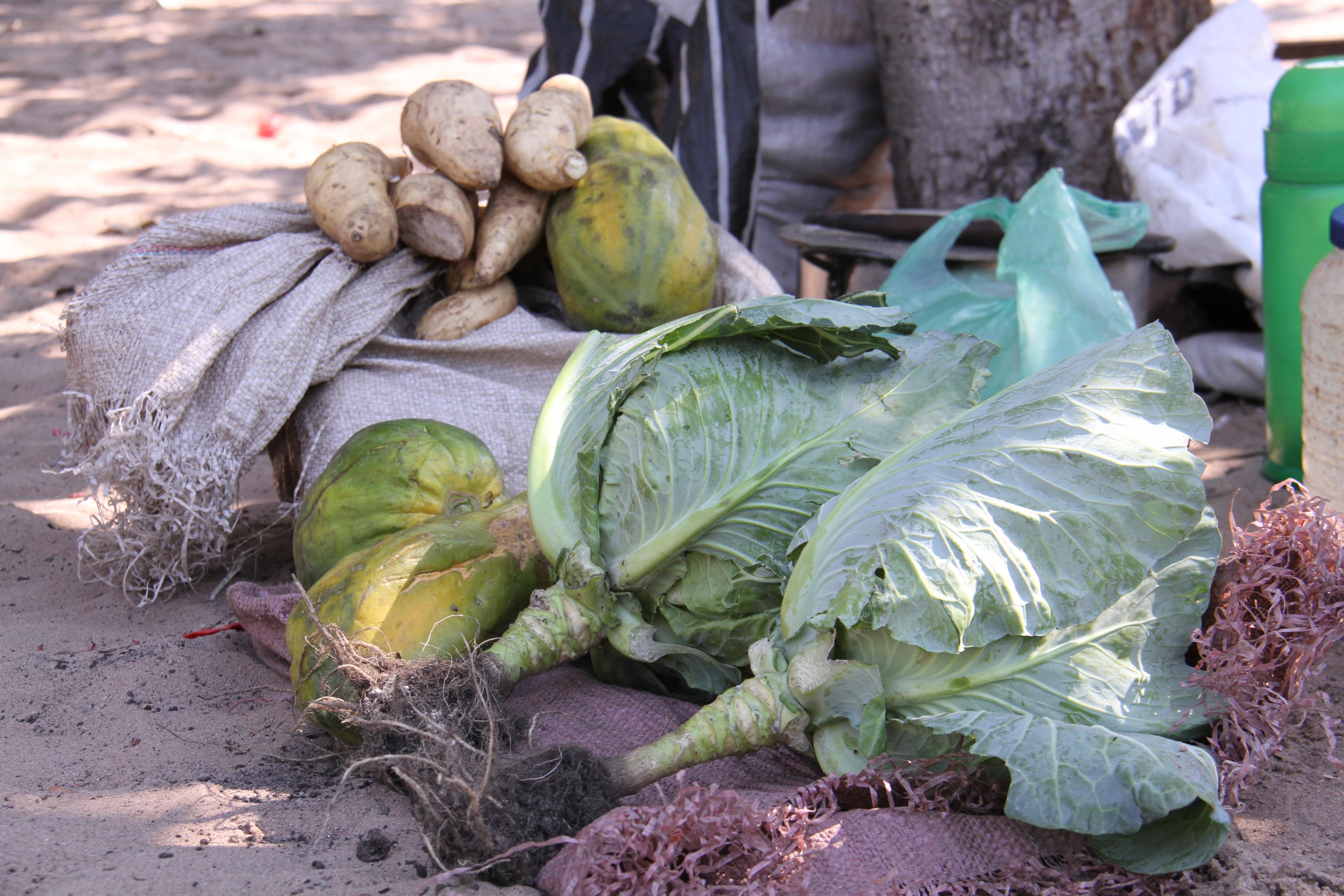 Zambia National Food and Nutrition Summit | Africa South of the Sahara