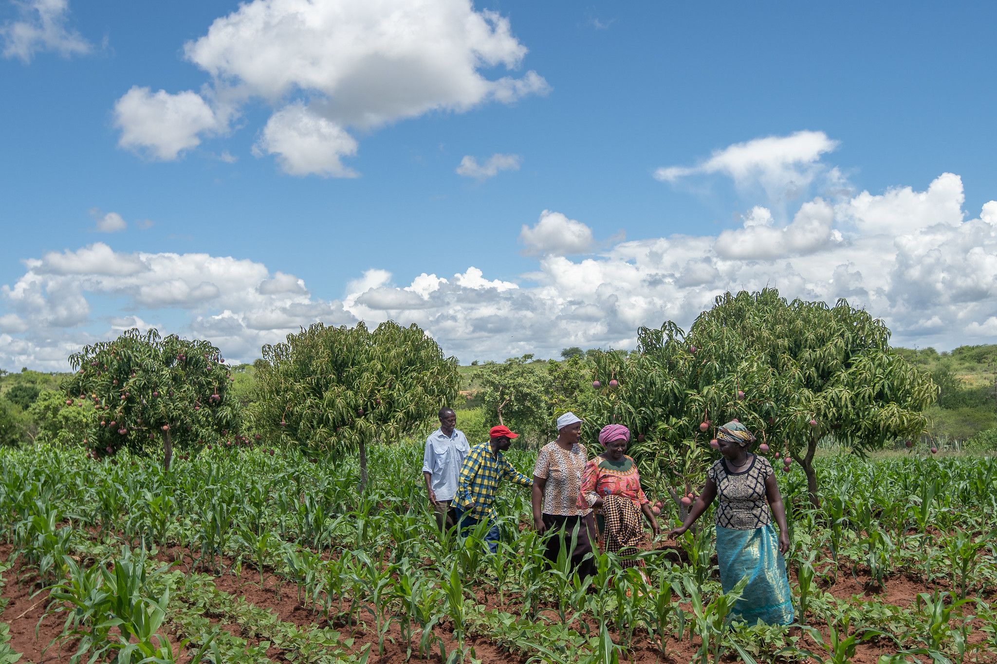 How Small Businesses Are Driving Growth Across African Agriculture 