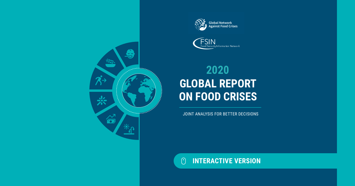 2020 Global Food Policy Report | Africa South of the Sahara