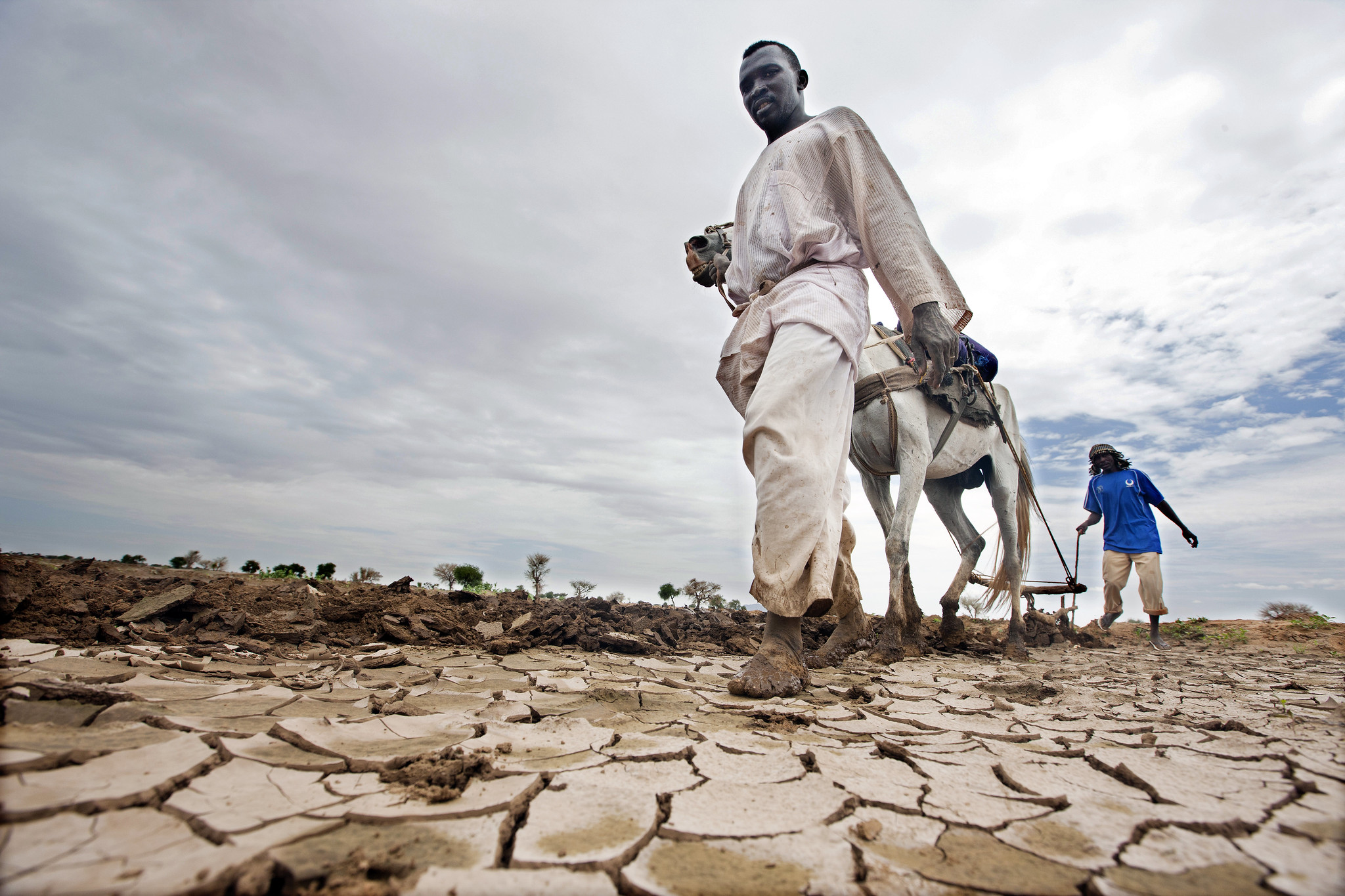 Acute Food Insecurity Continues to Rise throughout Africa South of the ...