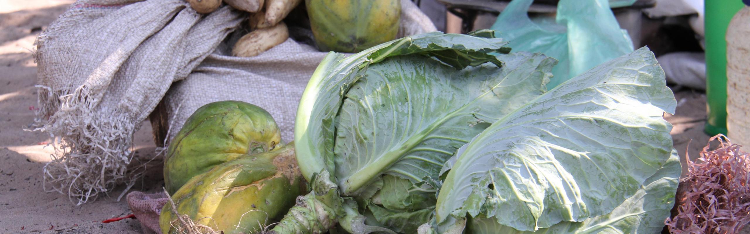 brassière pour tire lait