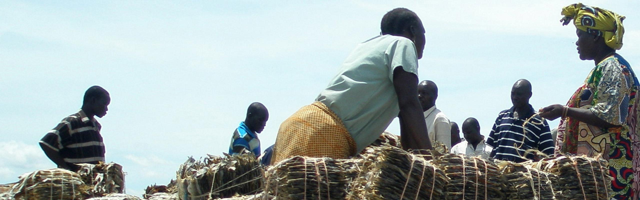 Commerçants de poisson séché dans le nord-ouest de l'Ouganda au bord du lac Albert. Une femme est forte parmi les autres commerçants.