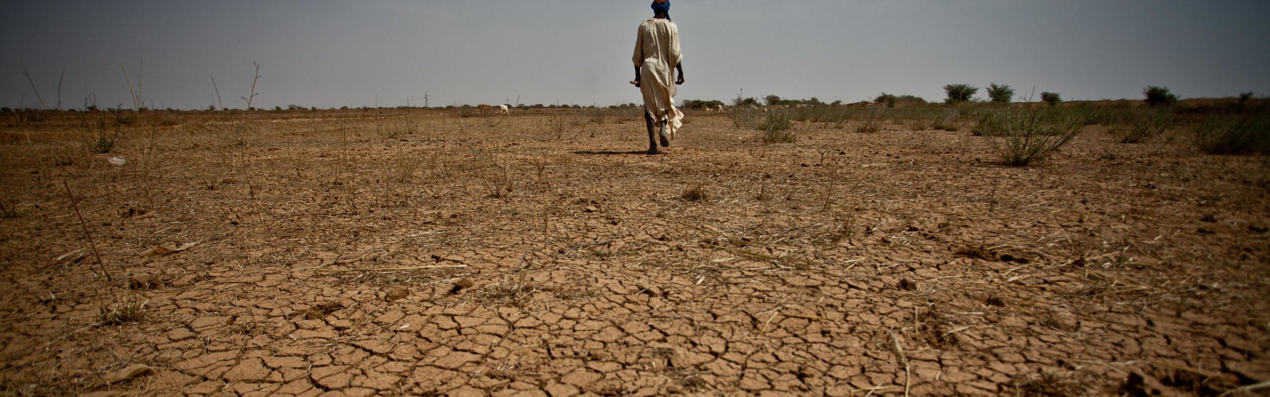 Person walks away from camera across arid soil in Mauritania
