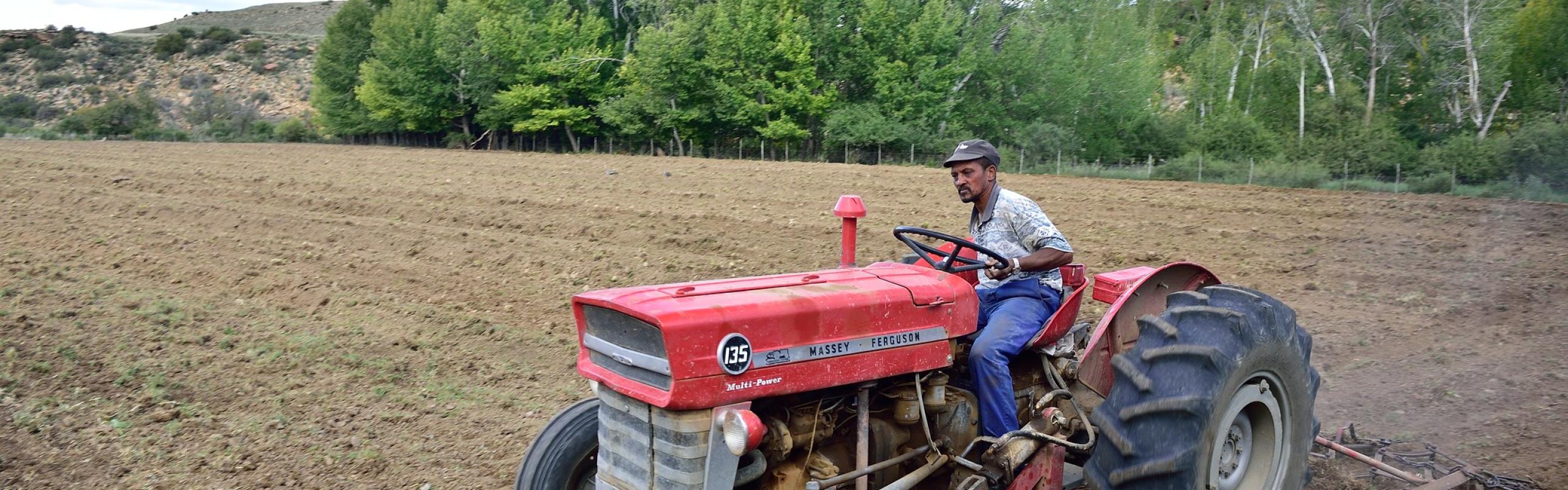 South African farmer rides on tractor across field