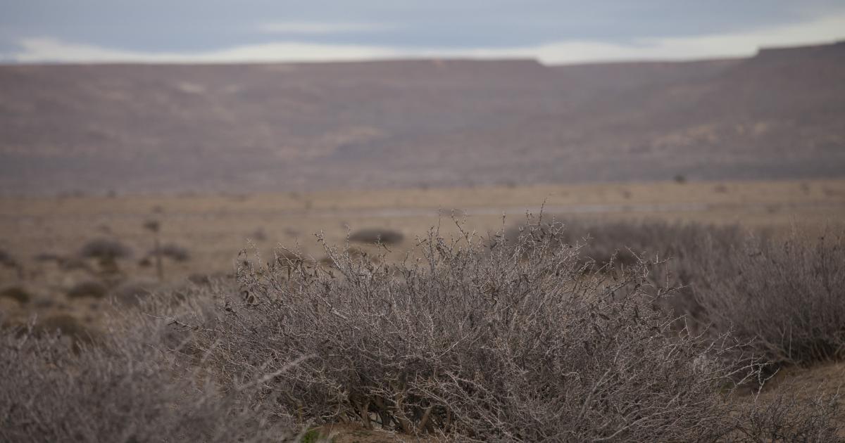 Global Report on Food Crises | Hot Topic | Africa South of the Sahara