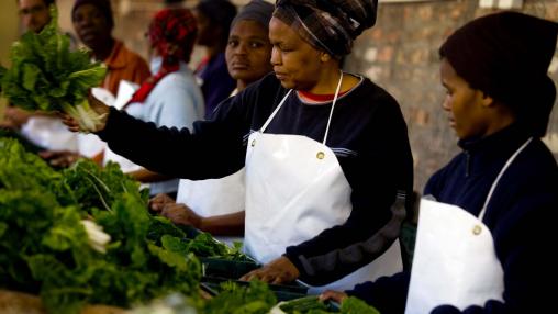 Women pack boxes of fresh vegetables in Guguletu, Cape Town, South Africa. They are part of the Abalimi Bezehkaya project that teaches people better farming techniques and sells fresh produce weekly to generate incomes for the farmers involved.
