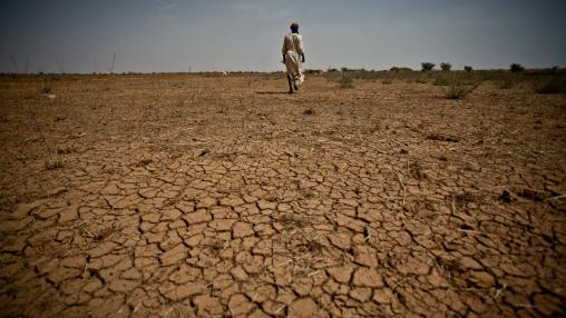 African farmer walking across parched land