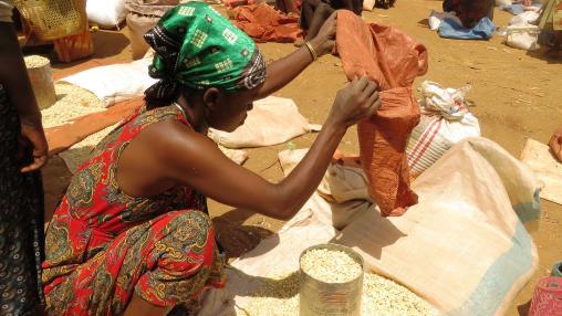 Ethiopian woman crouches on ground amid bags of maize and measures maize kernels in metal can 