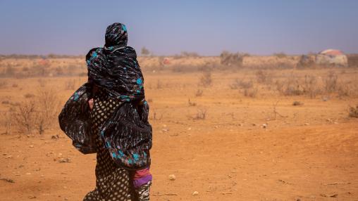  Women and children walk past animal carcasses in Sagalo village, Somali region, Ethiopia as strong wind blows dust across the horizon. 