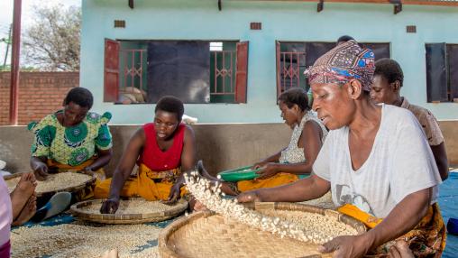 Women sorting out maize seed at the Mgom’mera Seed Company warehouse in Lilongwe, Malawi.