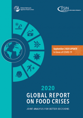 GRFC 2020 Report In times of COVID report